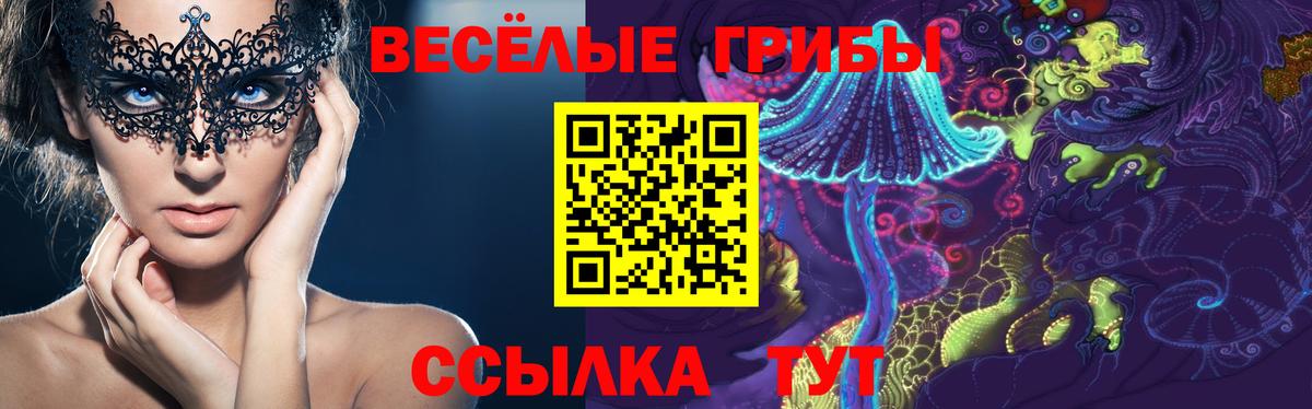 наркотики  Вход с VPN  Галлюциногенные грибы прущие грибы  Новошахтинск  Псилоцибиновые грибы Psilocybe 