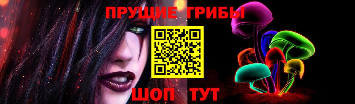 Псилоцибиновые грибы мицелий Новошахтинск